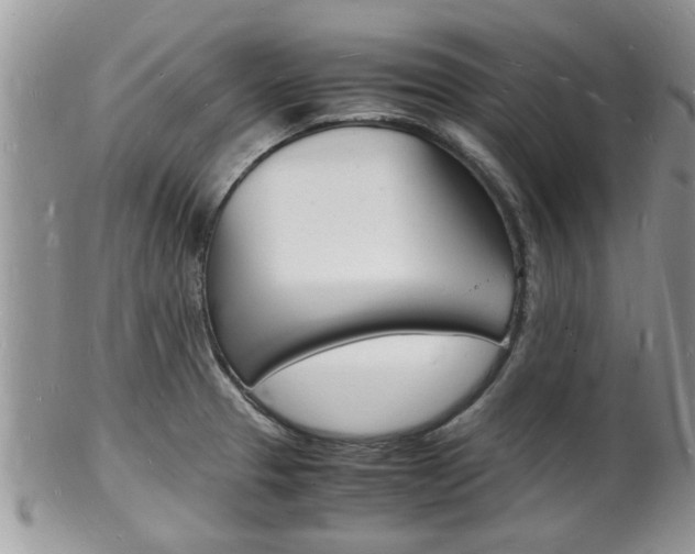 X0000102781329200808180922