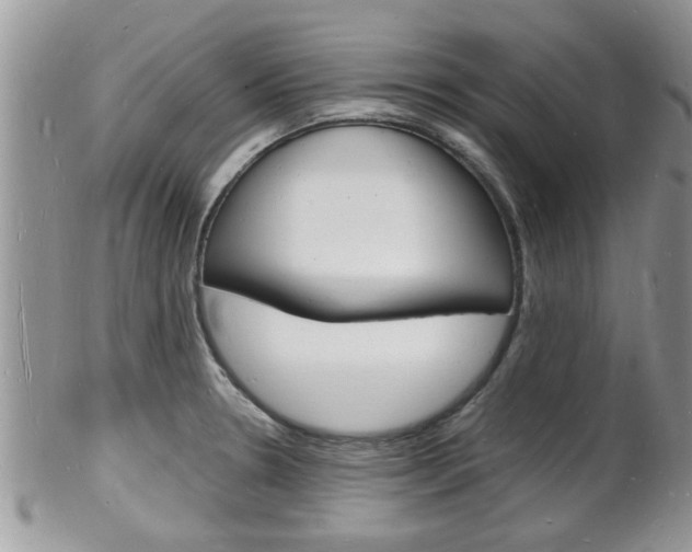 X0000102781330200808180922