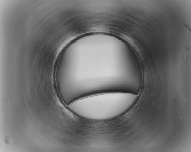 X0000102781331200808180922