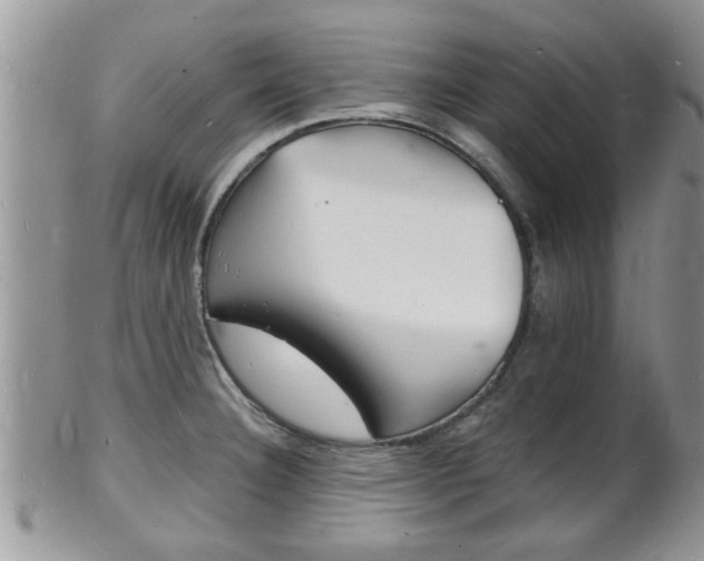 X0000102781332200808180922