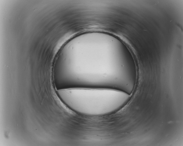 X0000102781333200808180922