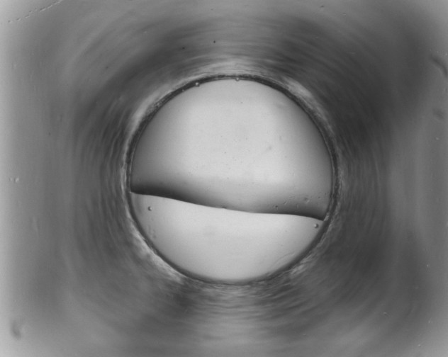 X0000102781334200808180922
