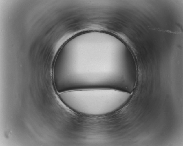 X0000102781335200808180922