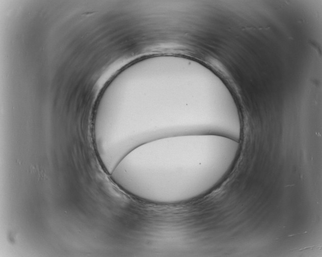 X0000102781336200808180922