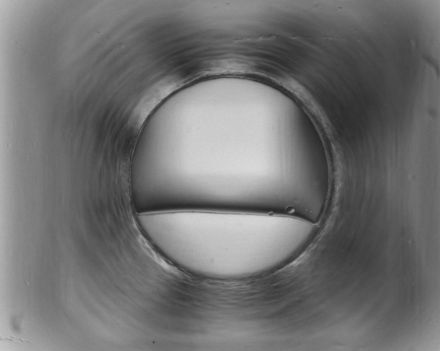 X0000102781337200808180922