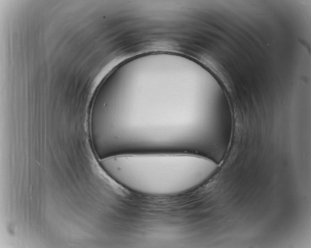 X0000102781339200808180922