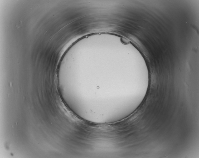 X0000102781340200808180922