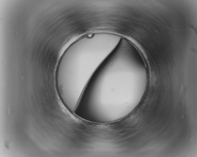 X0000102781341200808180922