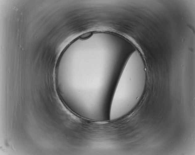 X0000102781343200808180922