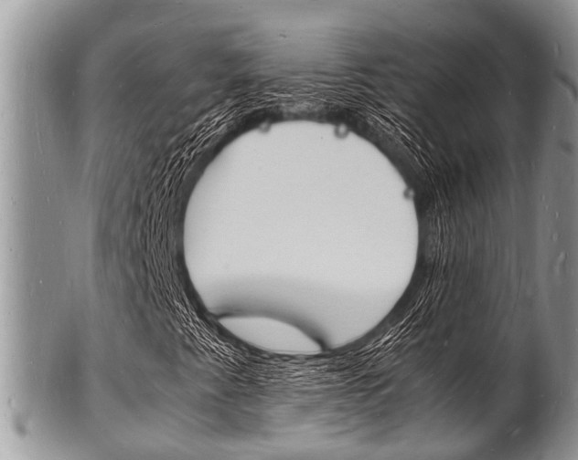 X0000102781345200808180922