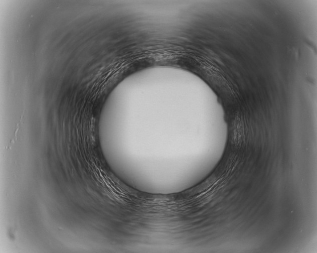 X0000102781346200808180922