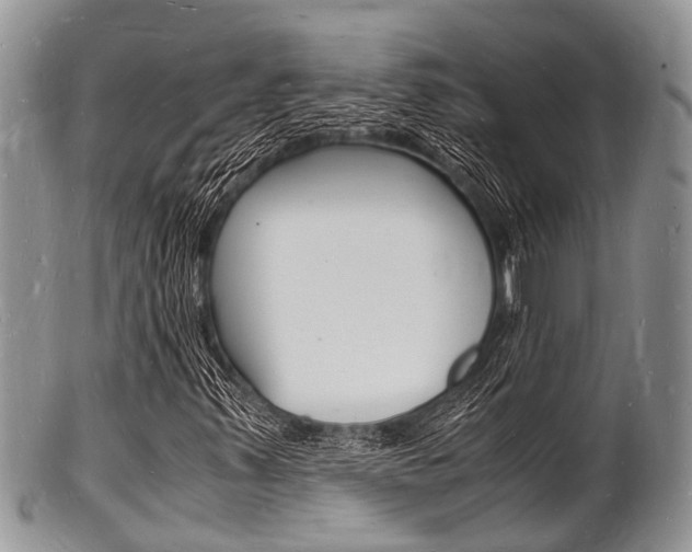 X0000102781347200808180922