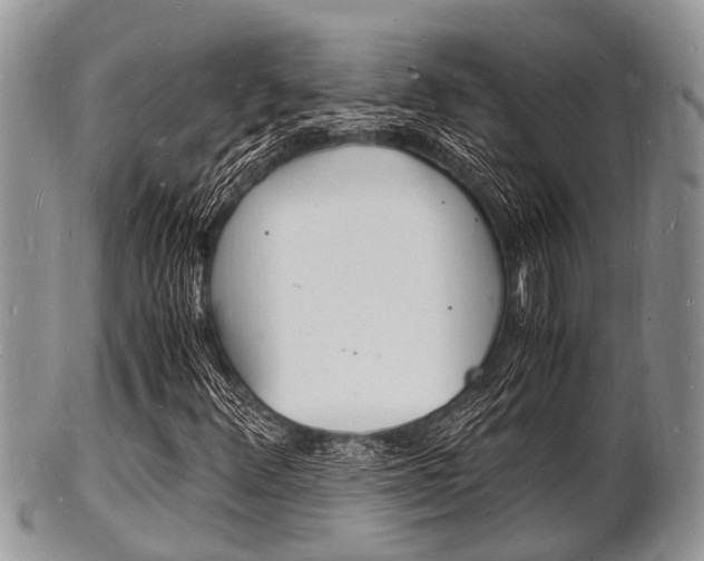 X0000102781348200808180922