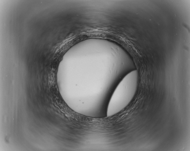 X0000102781350200808180922