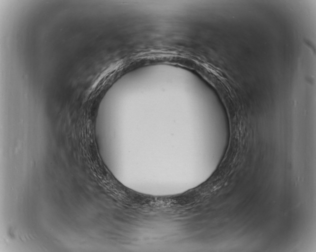 X0000102781351200808180922