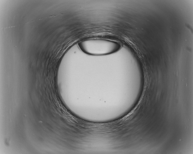 X0000102781353200808180922