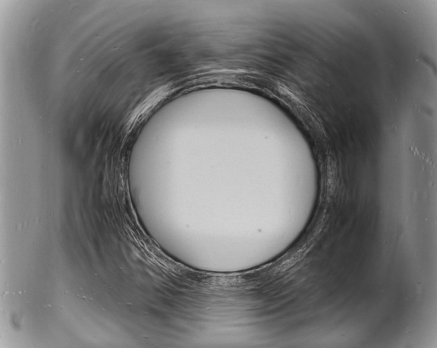X0000102781354200808180922