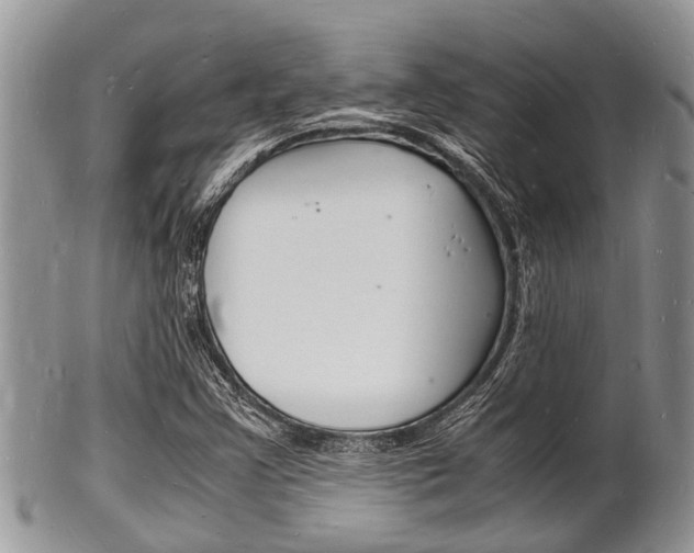 X0000102781355200808180922