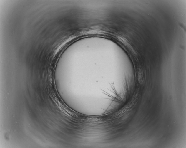 X0000102781356200808180922
