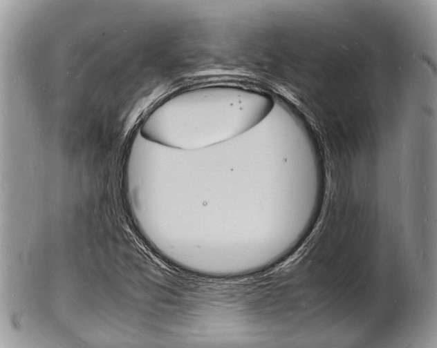 X0000102781357200808180922