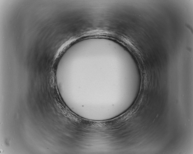 X0000102781358200808180922