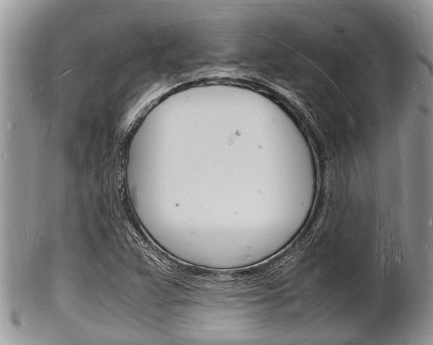 X0000102781359200808180922