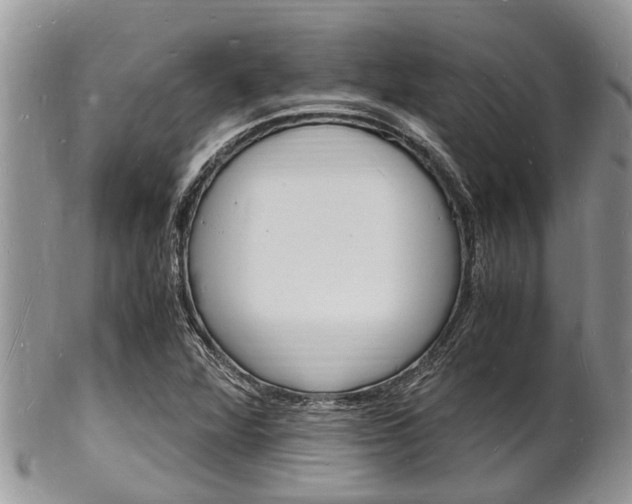 X0000102781360200808180922
