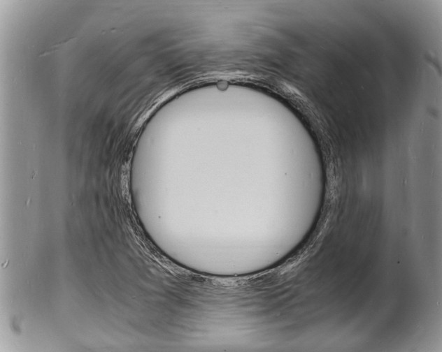 X0000102781361200808180922