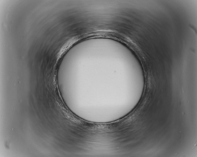 X0000102781362200808180922