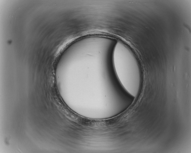 X0000102781363200808180922