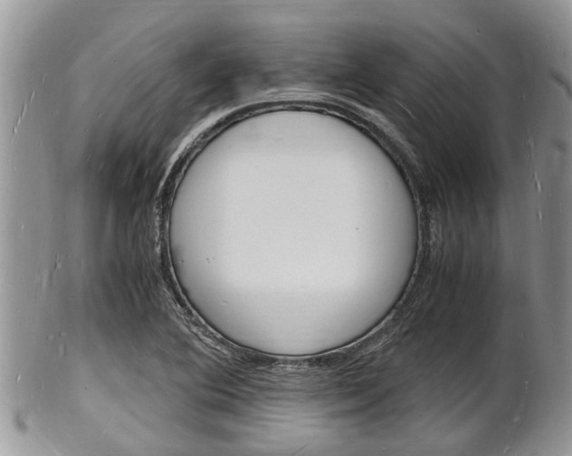 X0000102781364200808180922