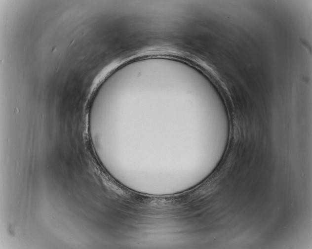 X0000102781366200808180921