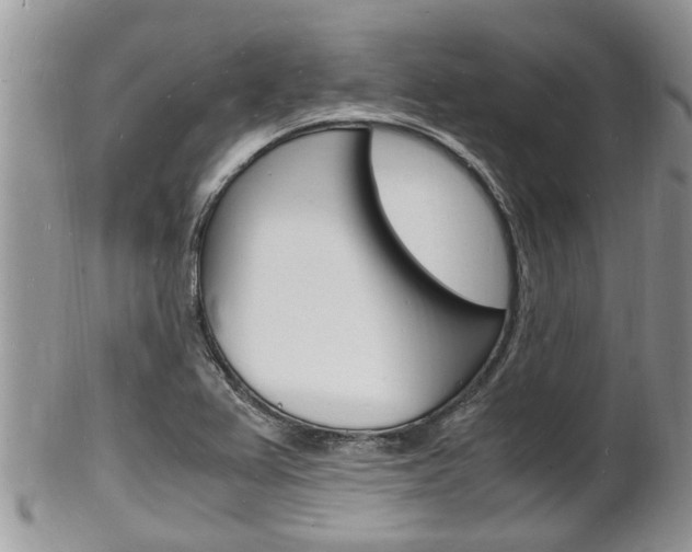 X0000102781367200808180921