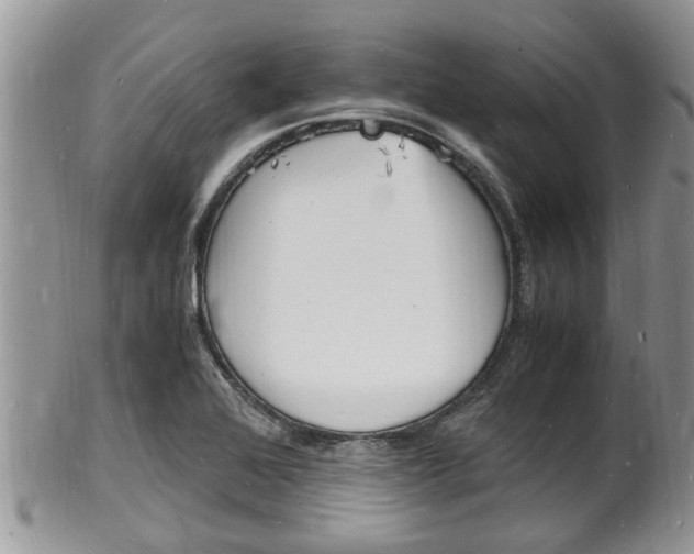 X0000102781368200808180921
