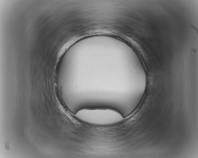 X0000102781373200808180921