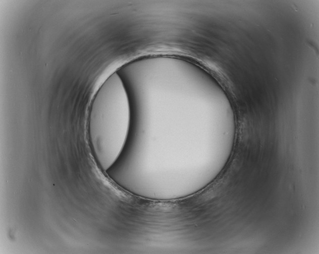 X0000102781374200808180921