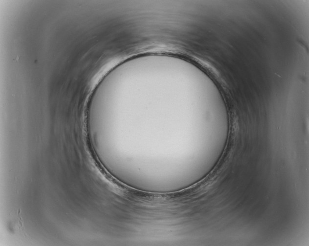 X0000102781375200808180921