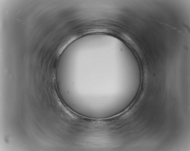 X0000102781377200808180921