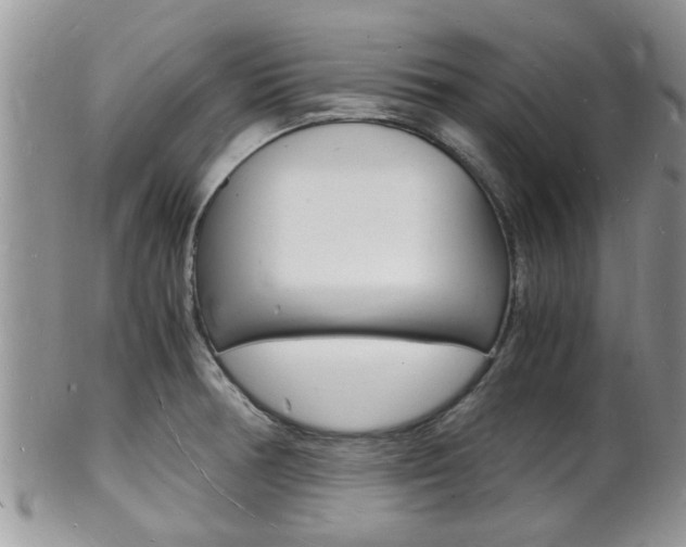 X0000102781378200808180921