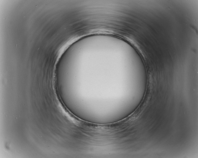 X0000102781379200808180921