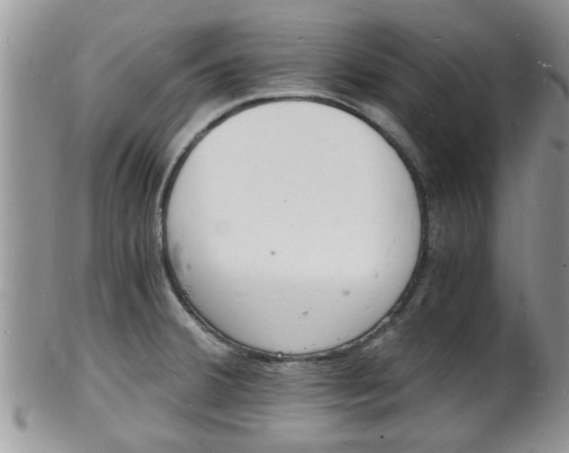 X0000102781380200808180921