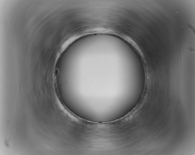 X0000102781381200808180921