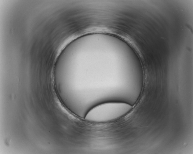 X0000102781382200808180921