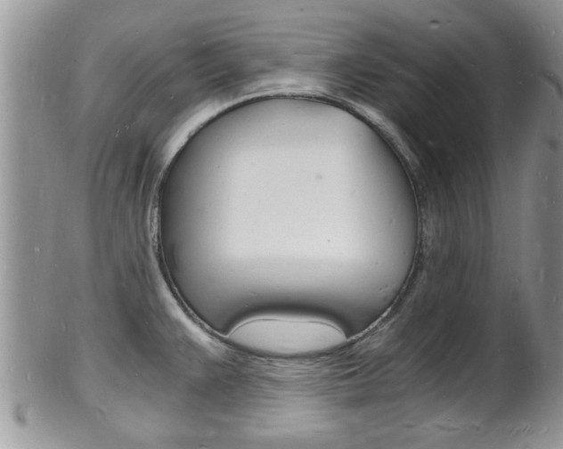 X0000102781383200808180921