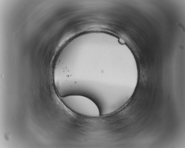 X0000102781384200808180921