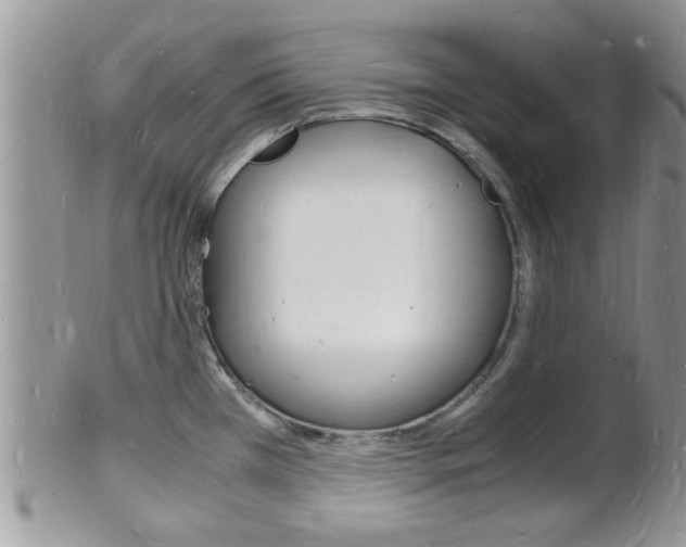 X0000102781385200808180921