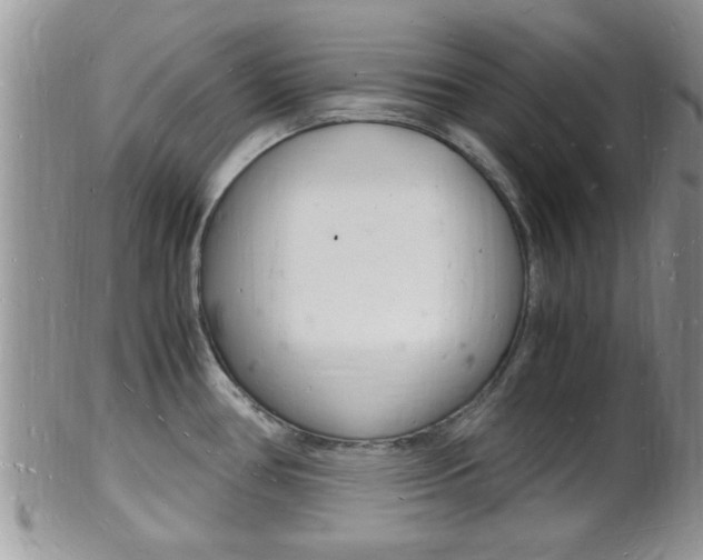 X0000102781386200808180921