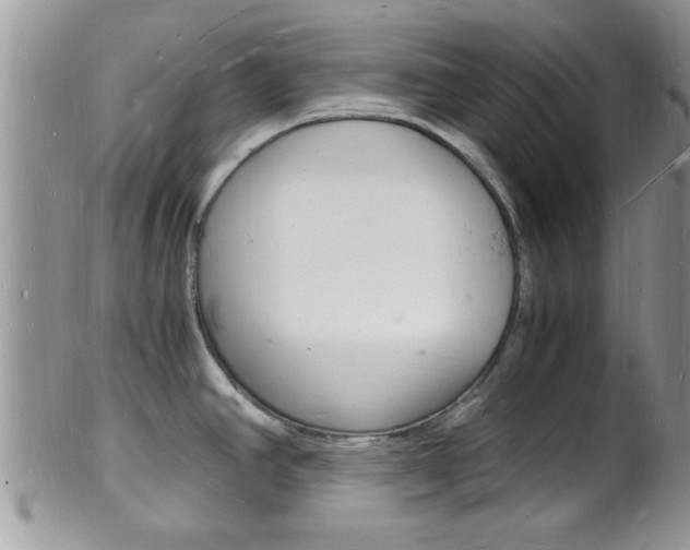 X0000102781390200808180921