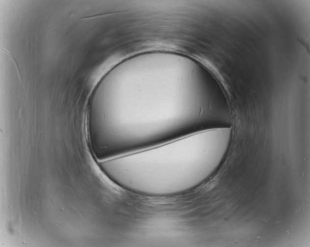X0000102781391200808180921