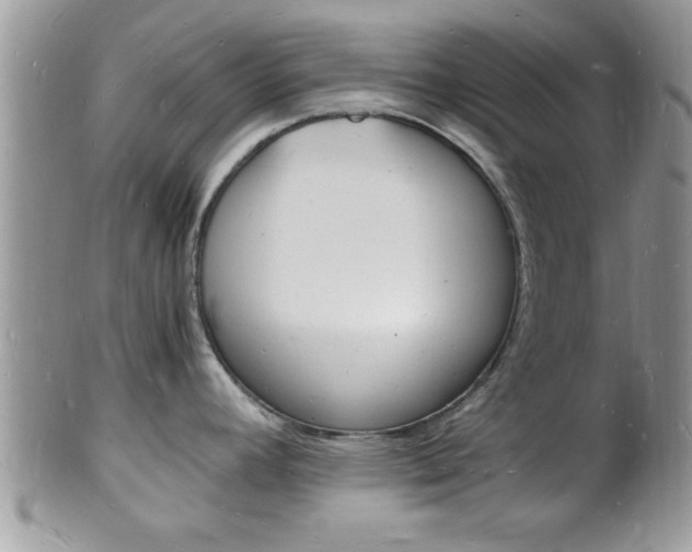 X0000102781392200808180921